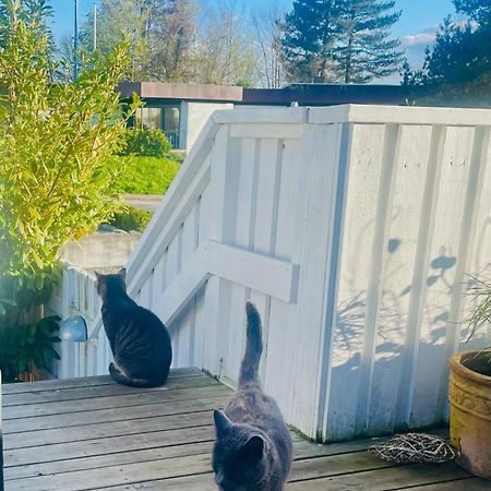 Espergærde Cool Familyhome Close To The Beach W Two Cuddly Cats מראה חיצוני תמונה